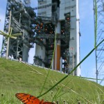 Delta IV launches WGS-6. Photo Credit: Mike Killian / Zero-G News
